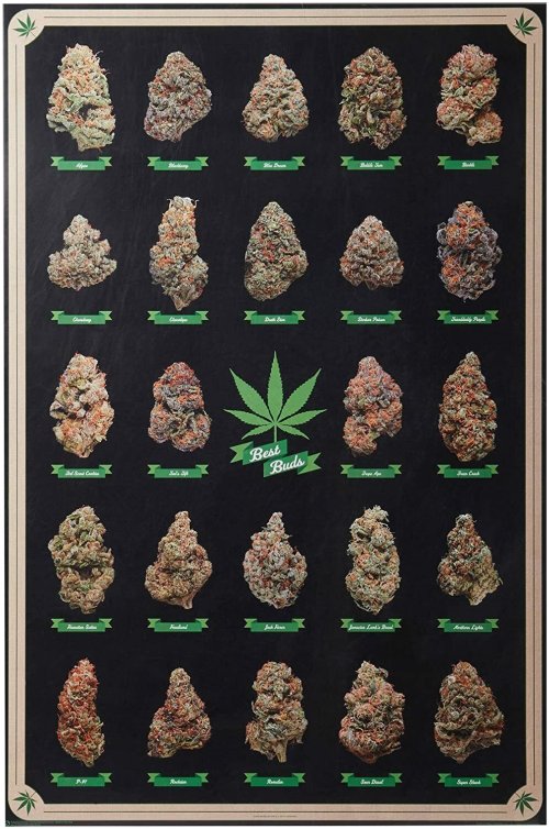 420 Dreams - Art Poster - 24x36 Cannabis Culture 10270