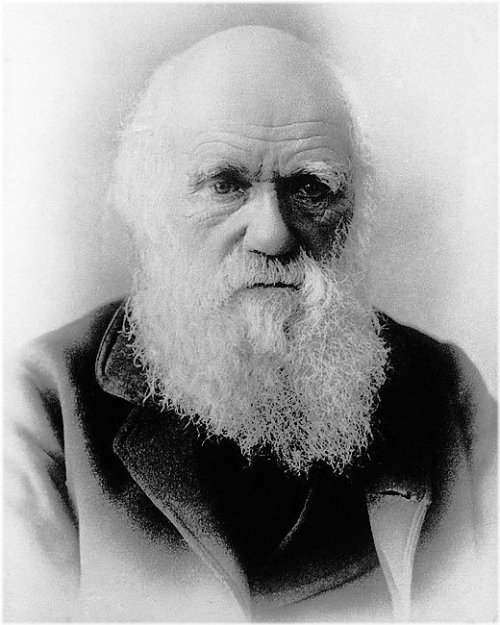 Darwin's Silver Halide Portrait Print