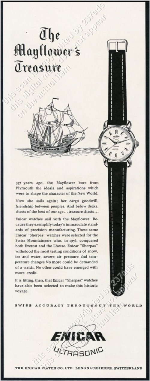 Timeless Treasures: A Glimpse into the Past