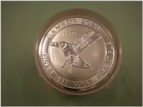 Canadian Red Tailed Hawk Silver Coin