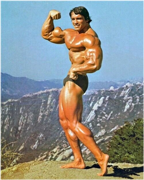 Musclebound Arnold: Capturing the Iconic