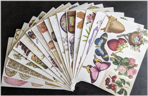 Heritage Sentimental Die Cuts