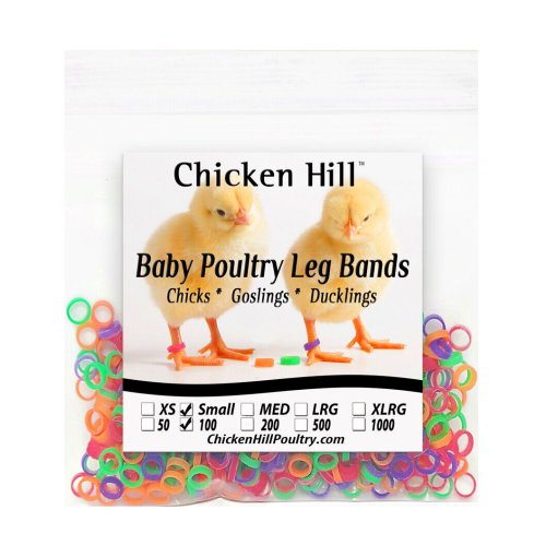 TinyTrack Leg Bands for Young Poultry and Ducks - Pack of 100