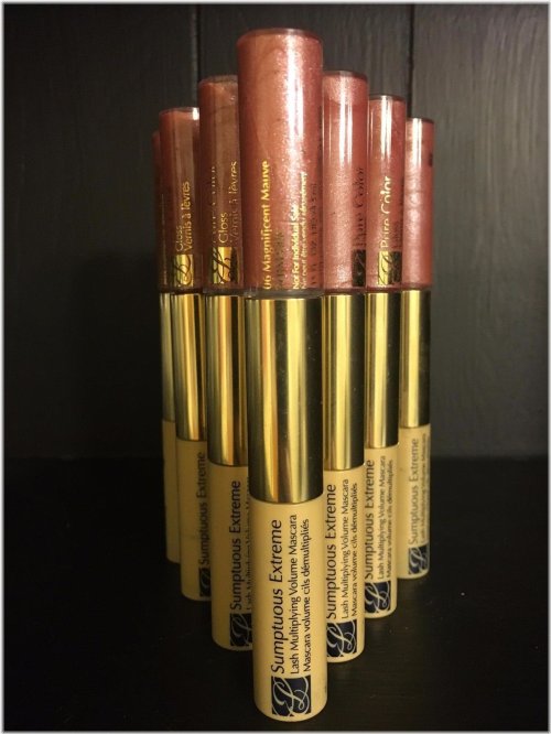 Magnificent Mauve Duo: Estee Lauder Mascara and Lip Gloss Wholesale Lot (50) - Black