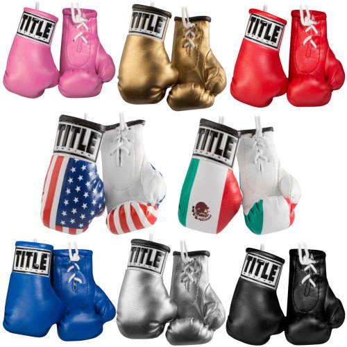 Champion's Miniature Lace Up Boxing Gloves