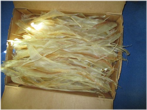 Wilderness Precision Crossbows