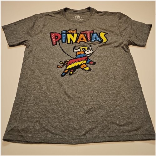 Erie Pinatas Seawolves Gray T-Shirt