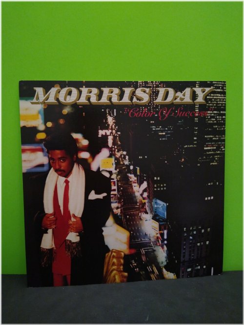 Color of Success 12x12 Poster