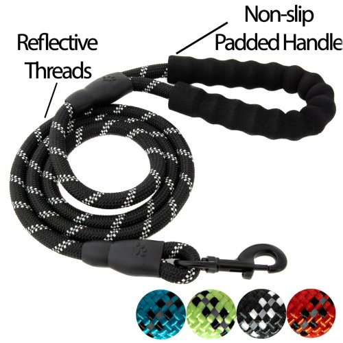 PawFlex Leash & Collar Set