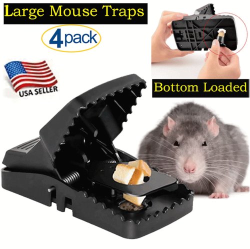 RodentStop Heavy-Duty Snap Traps: Safe and Humane Solution for Pest Control