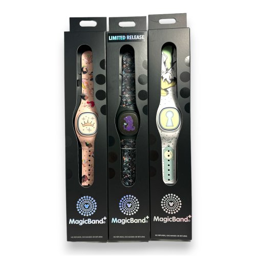 Enchanted Princess MagicBand