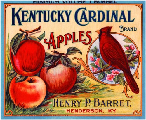 Henderson Kentucky Cardinal Collection