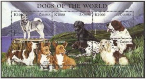 Zambian Canine Collection