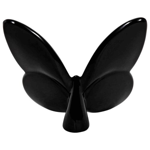 Midnight Winged Fortune