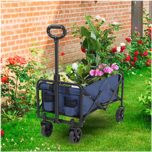 Blue Adventure Wagon