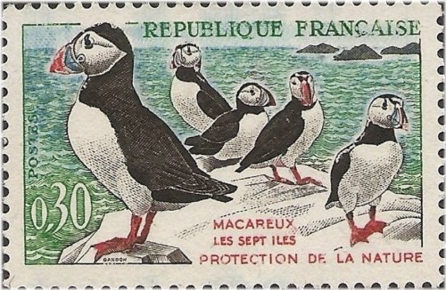 French Colonial Avian Stamp 1960