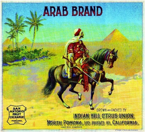 Pyramid Citrus Crate Label Art Print