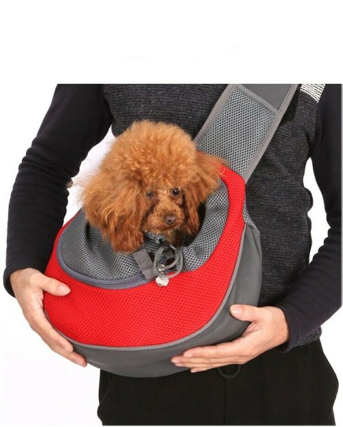 Pawsport Backpack