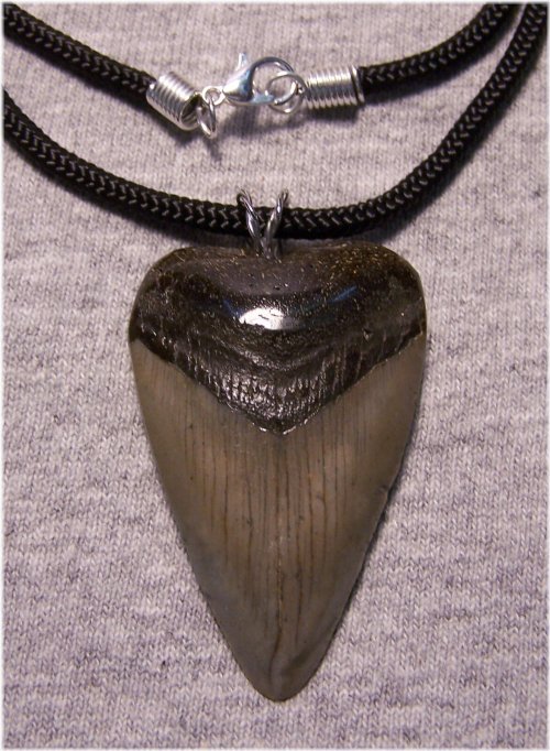 Ancient Megalodon Tooth Pendant