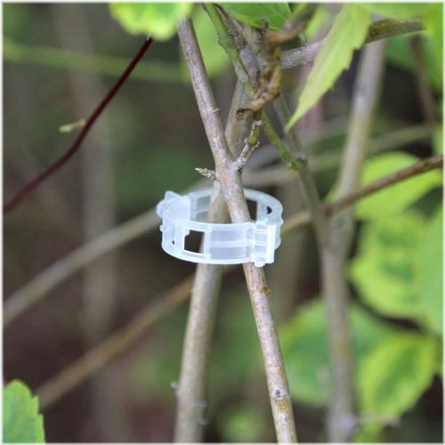 Garden Buddy Plant Clips and Twine Set
