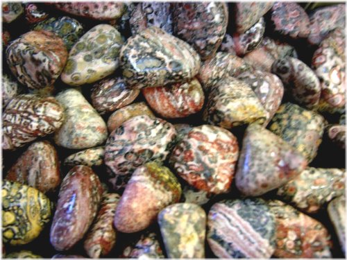 Leopard Jasper Mini Sculptures