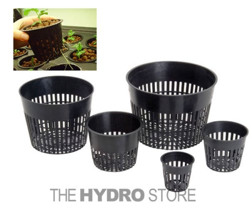 Mesh Grow Baskets