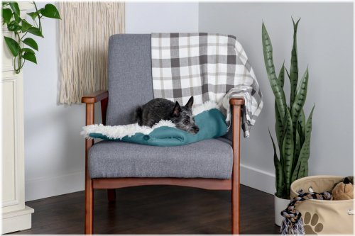 Cozy Paws Convertible Pet Bed