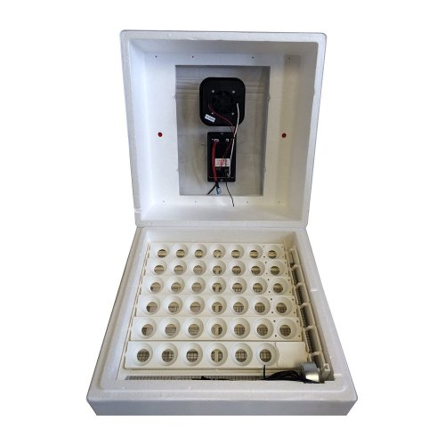 Circulated Air Egg Incubator with Auto Turner