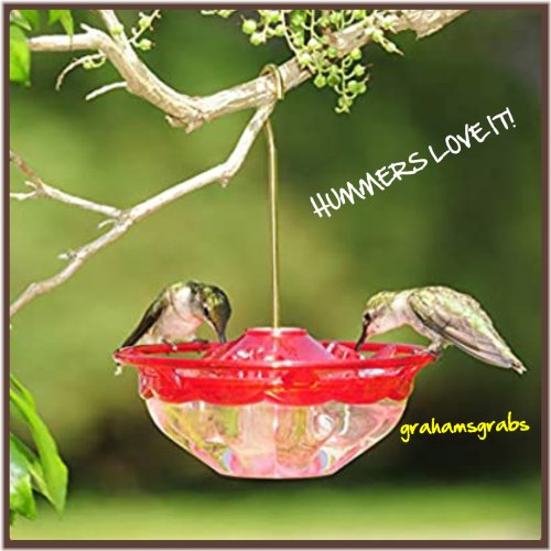 Rose Petal Hummingbird Feeder