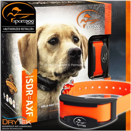 Additional Receiver for SportDOG Training Collars