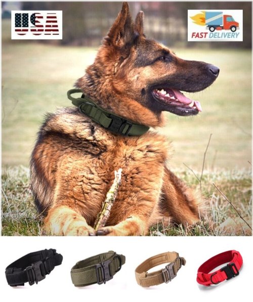 Guardian Gear Collar: Rugged Metal Buckle for Large Breed Dogs