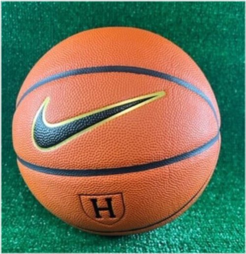 Harvard Elite Game Ball