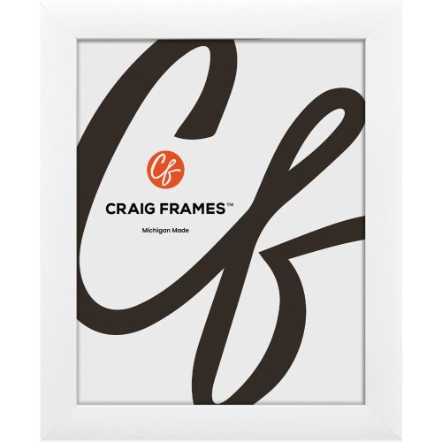 Contemporary White Frames by Craig Frames