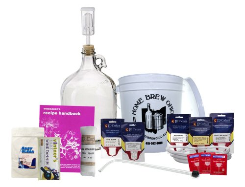 Fruit-to-Wine Kit