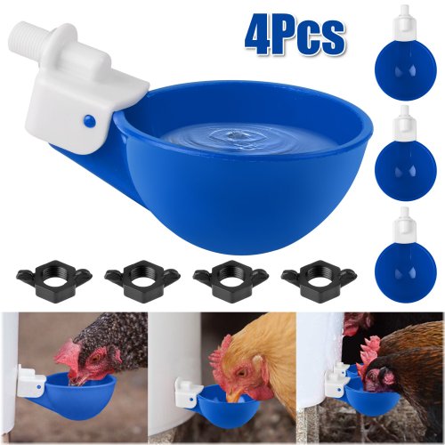 Feathered Friends Watering System