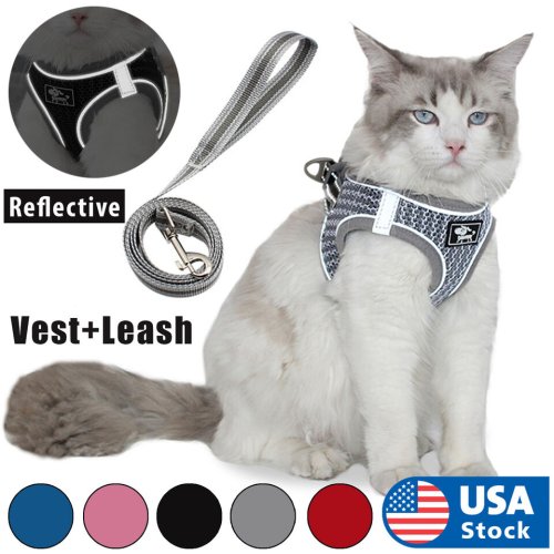 Reflective Cat Walking Set