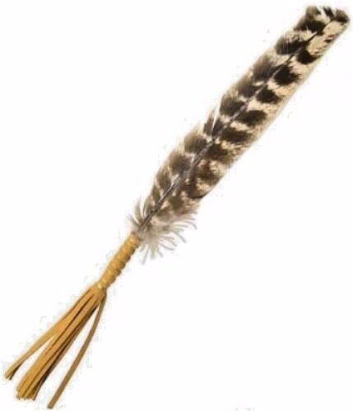 Leather Bound Cleansing Feather: 10" (Metaphysical Item)