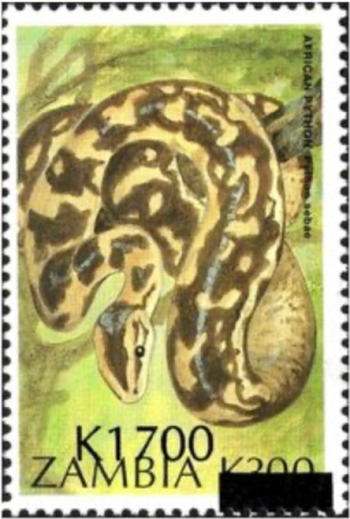 Zambian Rock Python Stamp