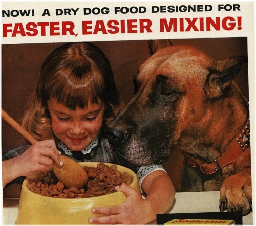 Vintage Friskies Canine Companion Ad