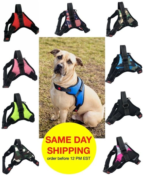 Reflective Control Harness with Handle for Dogs