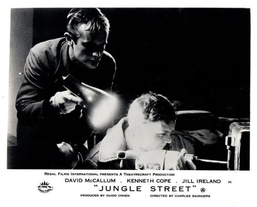 Wildlife Tales Lobby Card Collection