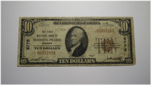 Blooming Prairie $10 1929 National Banknote (Ch #6775)