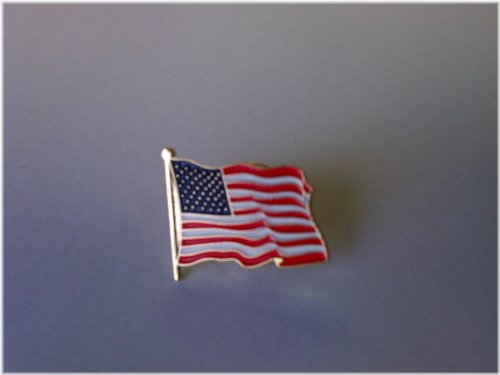 Patriotic Lapel Pins - Die Struck - American Flag Design