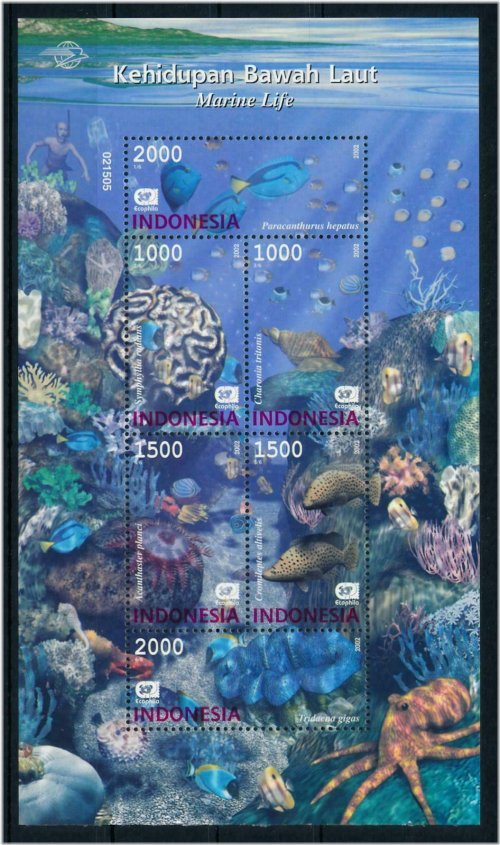 Marine Life Coral Fish Octopus Stamp Set