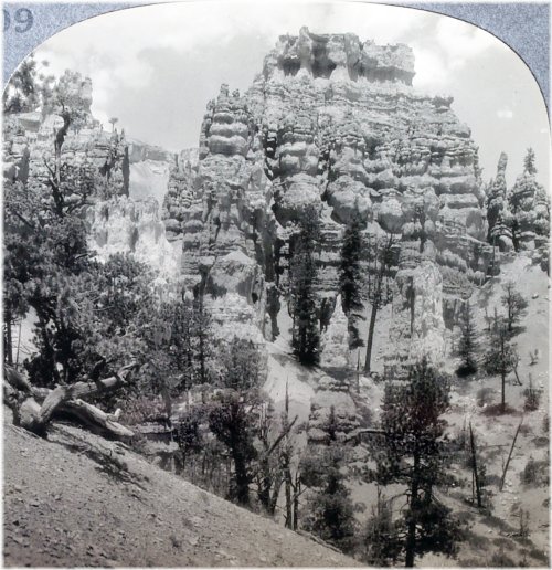 Royal Canyon Vista Collection