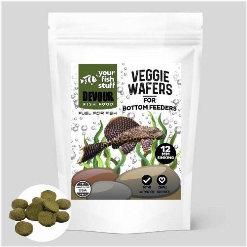 Green Algae Wafers