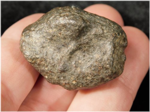 Algerian Stony Meteorite with Dark Fusion Crust