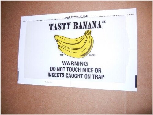 Banana Glue Mouse Traps by Catchmaster