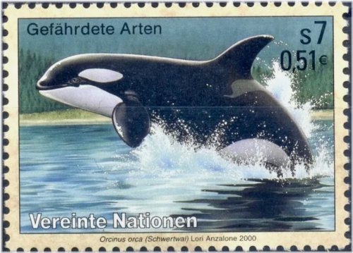 Endangered Species - Killer Whale Stamp