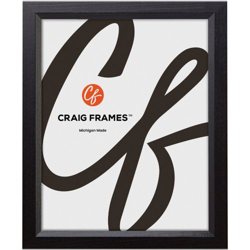 Satin Black Solid Wood Frames by Craig Frames